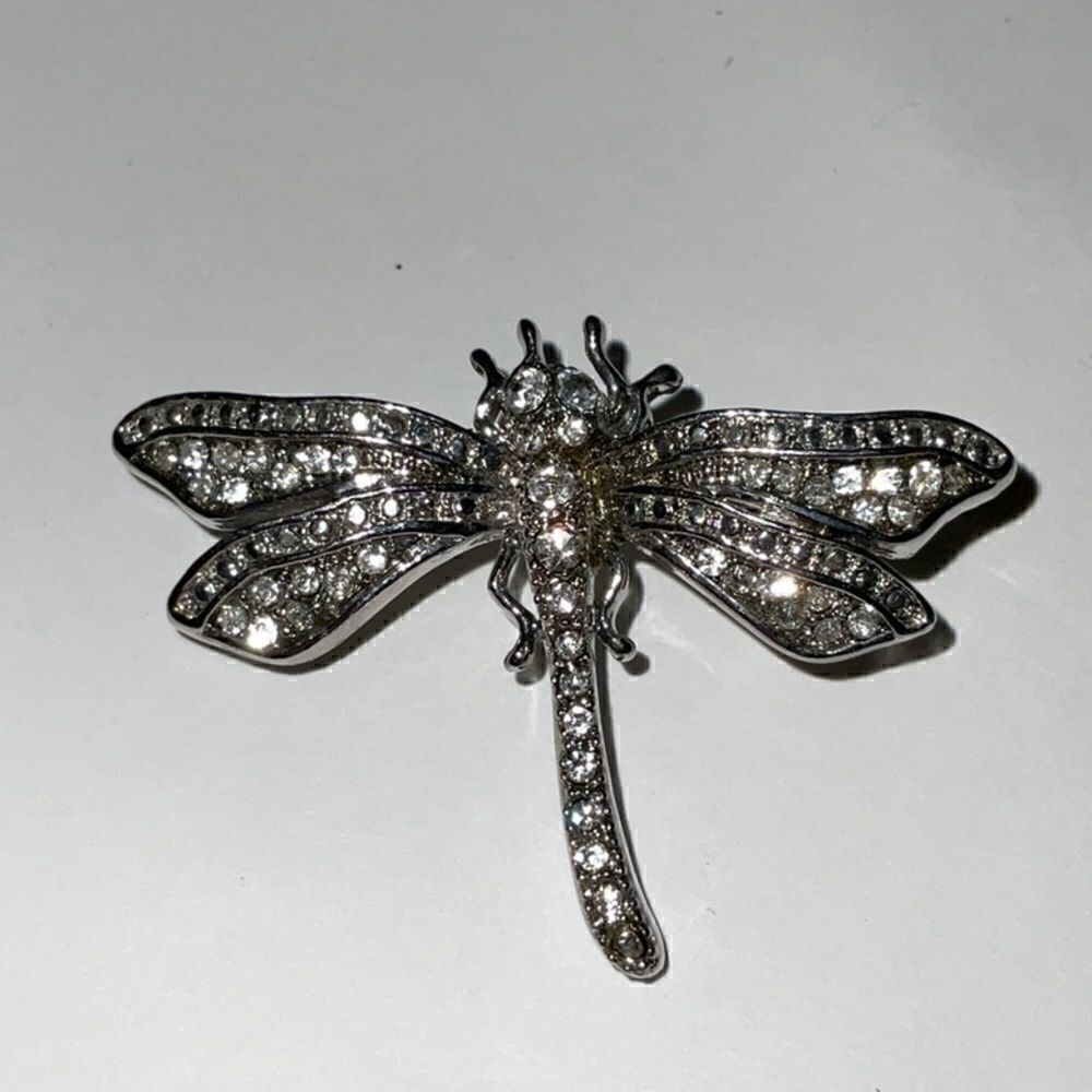 Pretty Dragonfly brooch  